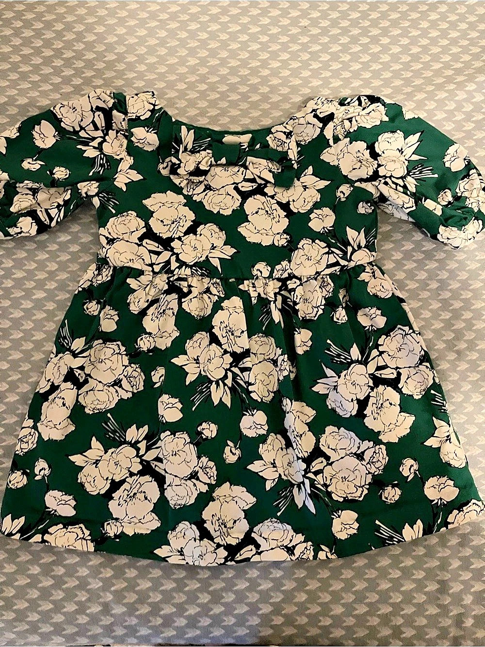 Janie and Jack Floral Dress in Green & White Size 18-24M